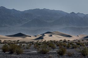 Dune de sable : Mesquite Flat Sand Dunes, Vallée de la Mort, Californie, USA
