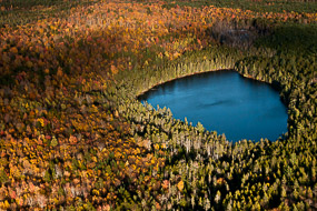 Les conifères remplacent les arbres coupés, vue aérienne, Moosehead Lake, Maine, Maine , USA