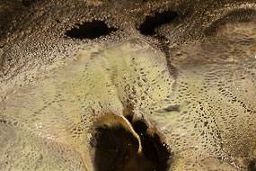 Dépôts de geyserite autour de cette bouche crachant de l'eau bouillonnante,  Hveravellir, Islande