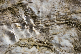 L'eau ruisselle sur ces dépôts de geyserite,  Hveravellir, Islande