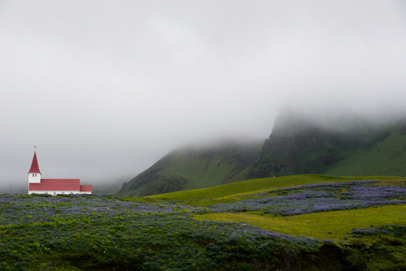 Eglise de Vik, avec des champs de lupins, dans les nuages, Islande
