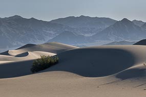 Dune de sable : Mesquite Flat Sand Dunes, Vallée de la Mort, Californie, USA