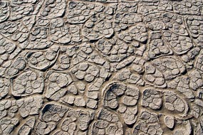 Craquelures dans le sol desséché de la vallée de la Mort, Californie, USA