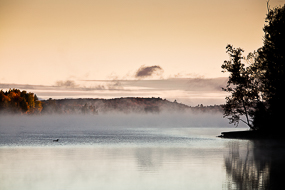Brume au petit matin en automne, Moosehead Lake, Maine, Maine, USA
