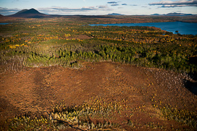 Coupes d'arbres, vue aérienne, Moosehead Lake, Maine, Maine , USA
