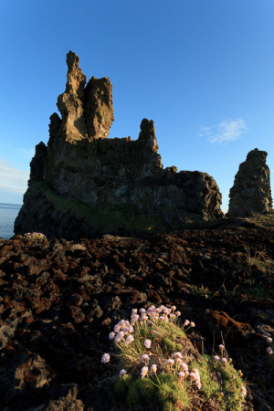 Rochers de Londrangar, Péninsule de Snæfellsnes, Islande