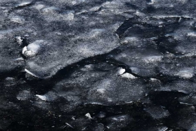 Détail de glace à la surface de l'eau , Islande