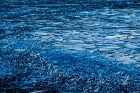 Le lac de Kleifarvatn a gelé en surface, mais les vagues, sous l'influence du vent, cassent la glace en plaques de différentes tailles qui s'entrechoquent, produisant un bruit impressionnant. Péninsule de Reykjanes, Islande, Mars 2017