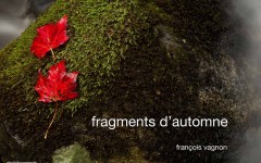 Couverture du livre : Fragments d'automne - Francois Vagnon - photofragments éditeur