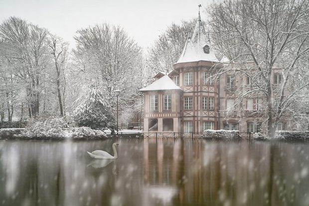 Il neige sur l'île Fanac et son école de musique, en partie inondée par la crue de la Marne, en ce mois de Février 2018. Un cygne passe...