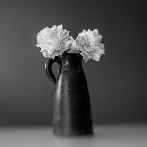 The Plano-convex Project, Vase et fleurs de papier